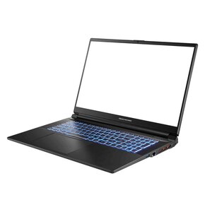 Laptop DREAMMACHINES RG4070-17PL27 17.3" 144Hz i7-13700H 32GB RAM 1TB SSD GeForce RTX4070