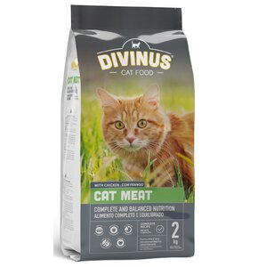 Karma dla kota DIVINUS Cat Meat Mięsny 2 kg