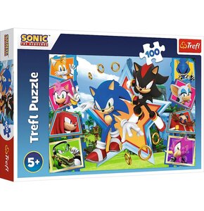 Puzzle TREFL Sonic The Hedgehog Poznaj Sonica 16465 (100 elementów)