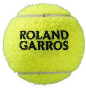 Piłki do tenisa ziemnego WILSON Roland Garros Clay Court  (4 sztuki)