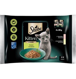 Karma dla kota SHEBA Kitten Kurczak z łososiem (4 x 85 g)