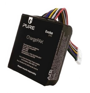 Akumulator PURE Evoke Play Chargepak