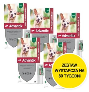 Krople na pchły i kleszcze ELANCO Advantix Spot-on Bardzo małe psy (do 4 kg) 20 x 0.4 ml