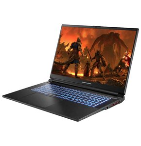 Laptop DREAMMACHINES RG4060-17PL23 17.3" 144Hz i7-13620H 32GB RAM 1TB SSD GeForce RTX4060