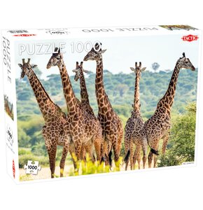Puzzle TACTIC Tall Giraffes (1000 elementów)