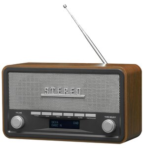 Radio DENVER DAB-18 Cyfrowe Przenośne Brązowo-czarny