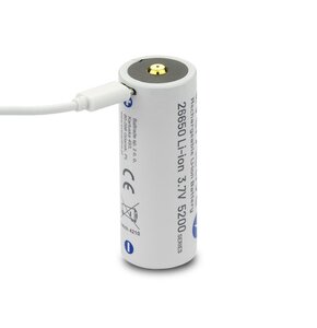 Akumulatorek 26650 5200 mAh EVERACTIVE EV26650-52M (1 szt.)