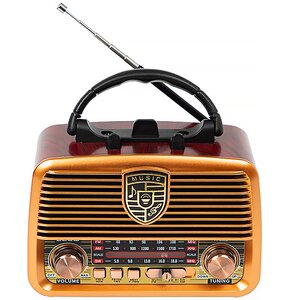 Radio BLOW RA10 Analogowe Pomarańczowy