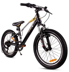 Rower dziecięcy SUN BABY Verdant Juniper 20 cali dla chłopca Czano-złoty