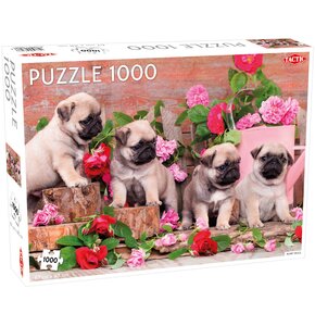 Puzzle TACTIC Lovers Puppy Pugs 58313 (1000 elementów)