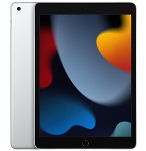 Tablet APPLE iPad 10.2" 9 gen. 64GB Wi-Fi Srebrny