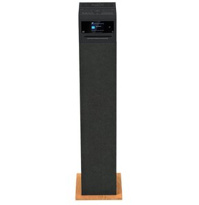 Power audio AIWA TSBT-360 Czarno-brązowy