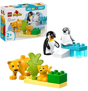 LEGO 10442 DUPLO Rodziny dzikich zwierząt: pingwiny i lwy