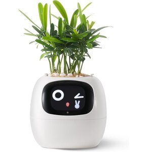 Doniczka inteligentna PLANTSIO IVY Wi-fi 0.122 L Biały