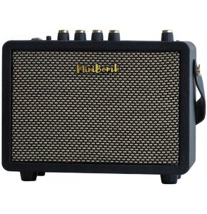 Wzmacniacz gitarowy DK TECHNOLOGY iG-10Pro Czarny