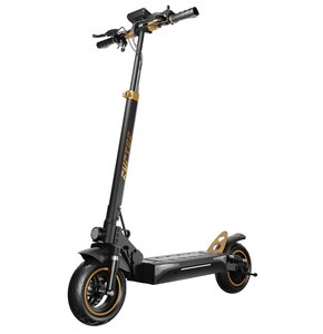 Hulajnoga elektryczna RUPTOR R1 V2 80 km 500W Amortyzacja 10" Miedziany