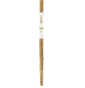 Podpórka PROGARDEN Bambus (60 cm) 10 szt.