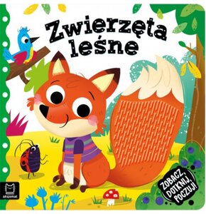Książka Zobacz, dotknij, poczuj! Zwierzęta leśne Grażyna Wasilewicz (twarda okładka)