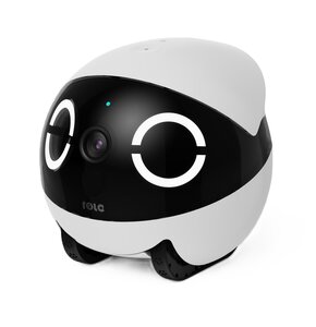 Robot monitorujący dla zwierząt ENABOT Rola Mini
