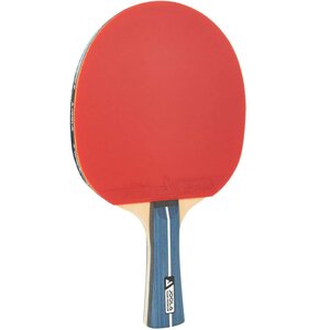 Paletka do ping ponga JOOLA Team Premium