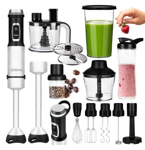 Blender ZEEGMA Handy Chef Versablend