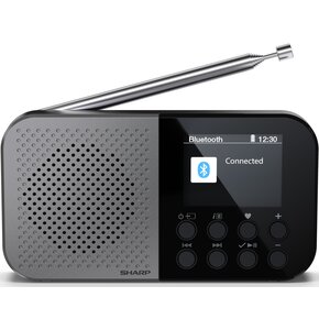 Radio SHARP DR-P520 Cyfrowe Przenośne Szary
