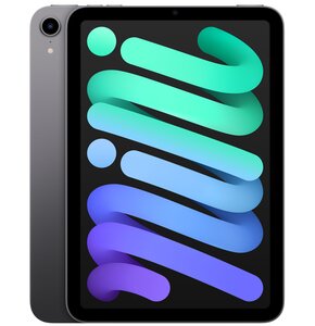 Tablet APPLE iPad mini 8.3" 6 gen. 64 GB Wi-Fi Gwiezdna szarość