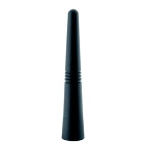 Antena samochodowa EINPARTS EPCA06