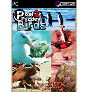 Kod aktywacyjny Gra PC Pixel Puzzles 2: Birds