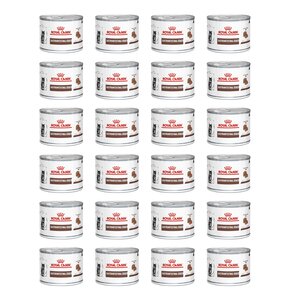 Karma dla kota ROYAL CANIN Gastrointestinal Kitten Ultra Soft Mousse 24 x 195 g