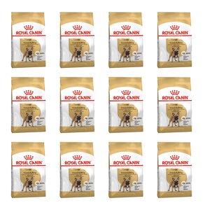 Karma dla psa ROYAL CANIN French Bulldog Adult 12 x 3 kg