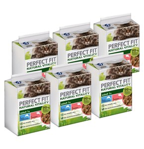 Karma dla kota PERFECT FIT Adult 1+ Ryba oceaniczna z łososiem (36 x 50 g)