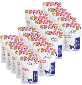 Karma dla kota 4VETS NATURAL Gastro Intestinal 20 x 85 g