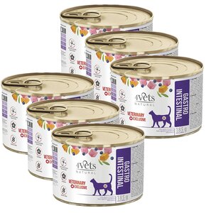 Karma dla kota 4VETS NATURAL Gastro Intenstinal Cat 6 x 185 g
