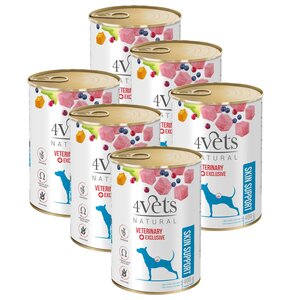 Karma dla psa 4VETS NATURAL Skin Support 6 x 400 g