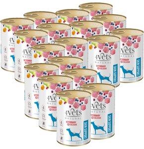 Karma dla psa 4VETS NATURAL Skin Support 18 x 400 g