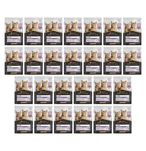 Karma dla kota PURINA Pro Plan Junior Kitten 26 x 85 g