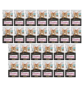 Karma dla kota PURINA Pro Plan Adult Delicate Digestion Ryba 26 x 85 g