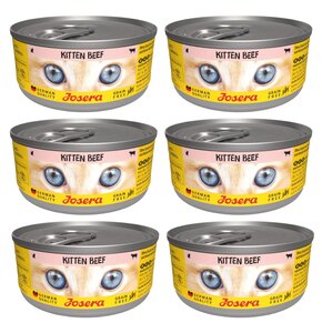 Karma dla kota JOSERA Kitten Wołowina 6 x 85 g