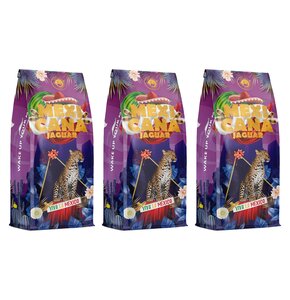 Kawa ziarnista BLUE ORCA COFFEE Mexicana Jaguar 3 x 1 kg
