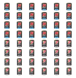 Karma dla psa RAFI Mix smaków z jagnięciną, żołądkami wołowymi, szynką wieprzową z borówką i żurawiną 48 x 400 g