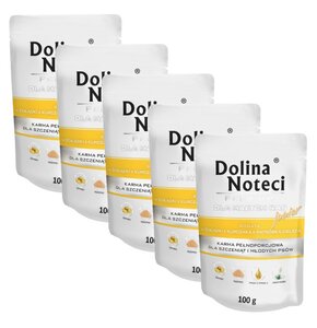 Karma dla psa DOLINA NOTECI Premium Junior bogata w żołądki z kurczaka z wątróbką cielęcą  5 x 100 g