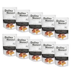 Karma dla psa DOLINA NOTECI Premium Danie z łososia z marchewką i ryżem 10 x 300 g