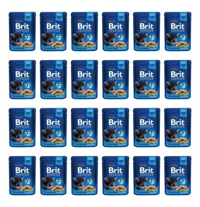 Karma dla kota BRIT Premium Kurczak 24 x 100 g