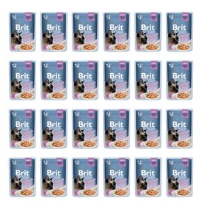 Karma dla kota BRIT Premium Łosoś 24 x 85 g