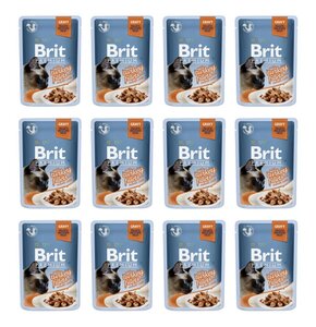 Karma dla kota BRIT Premium Indyk 12 x 85 g