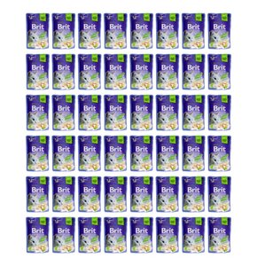 Karma dla kota BRIT Premium Pstrąg 48 x 85 g