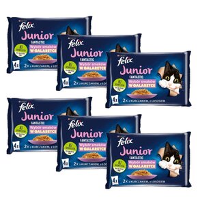 Karma dla kota FELIX Fantastic Junior Fantastic Kurczak i Łosoś (24 x 85 g)