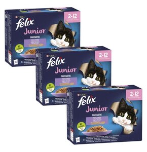 Karma dla kota FELIX Fantastic Junior Mix Smaków w galaretce (36 x 85 g)