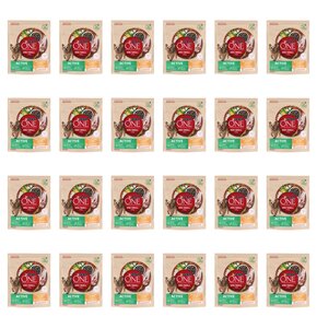 Karma dla psa PURINA One Mini Active Adult Kurczak z ryżem 24 x 800 g